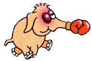 boxer.jpg (6682 Byte)